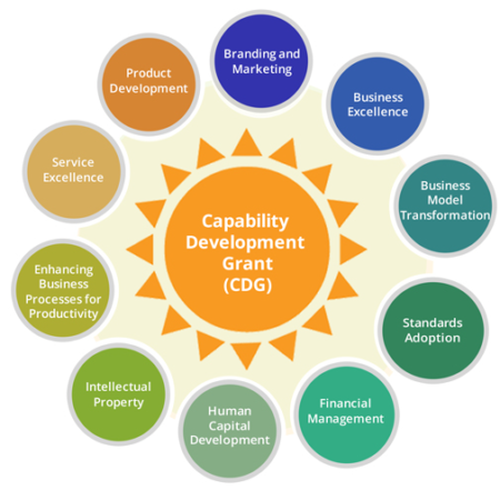 Capability Development Grant (CDG)